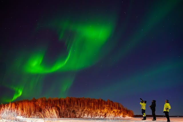 Personas observando auroras boreales en la nieve durante la noche
