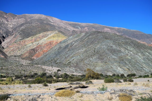Paisaje de la Quebrada de Humahuaca con cerros de colores y vegetación típica del norte argentino.