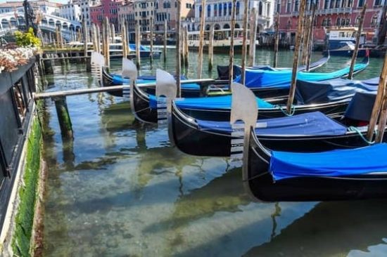 gondolas azules en venecia