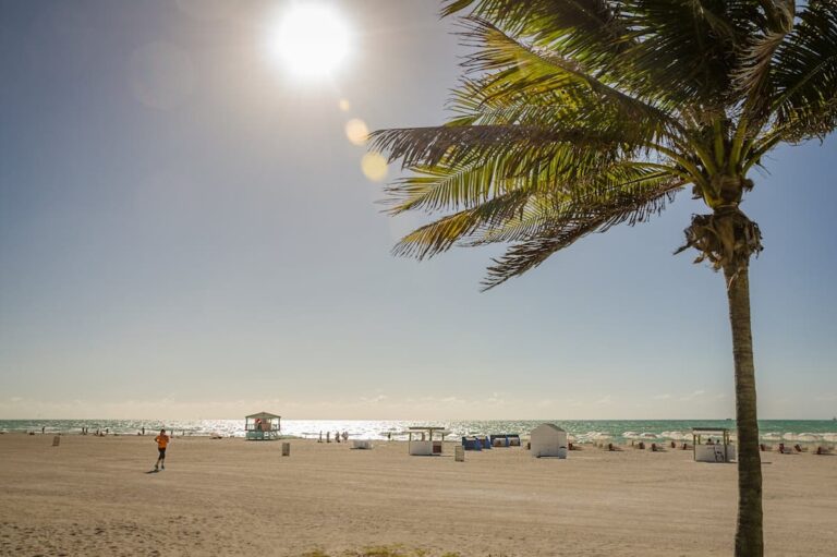 Playa de Miami con cielo despejado, palmera y cabaña de salvavidas al atardecer.