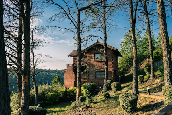jardines prolijos en el entorno cabaña de 2 plantas en medio del bosque
