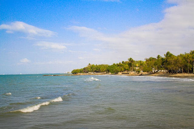 Playas del Pacífico colombiano: naturaleza y paisajes únicos en 2026 Playa del Pacífico colombiano con vegetación tropical y olas suaves