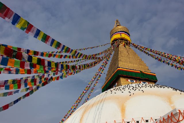 Templos tradicionales con arquitectura asiática y techos llenos de palomas en Nepal.