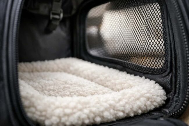 Interior de transportín para gatos con base acolchada y ventilación de malla, ideal para viajar en avión.
