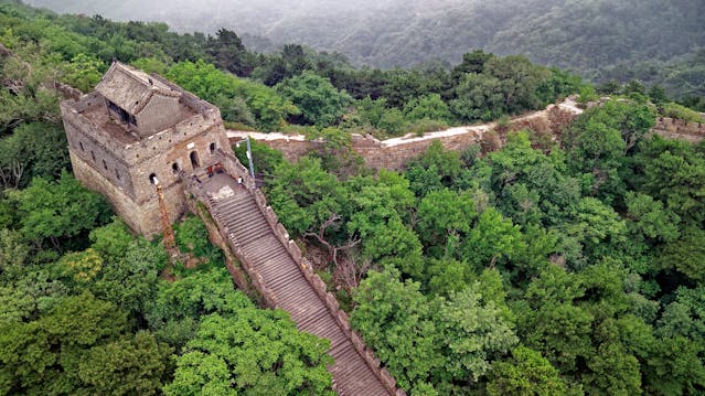 Vista aérea de una sección de la Gran Muralla China rodeada de vegetación.