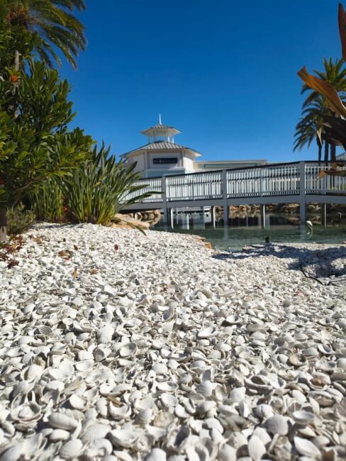 Zona decorada con piedras blancas, caracoles y pasarela elevada en Tampa Premium Outlets
