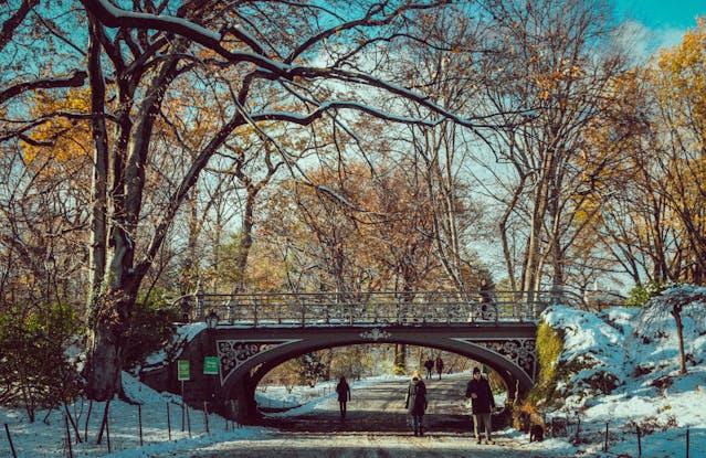 Puente en Central Park cubierto de nieve en invierno, una de las postales de Nueva York que influye en el presupuesto de viaje desde México en 2026.