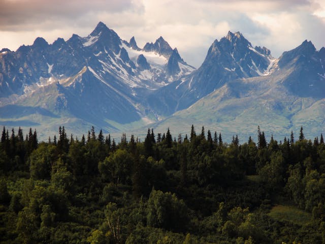 Montañas escarpadas y bosques en Alaska, uno de los paisajes naturales más característicos del estado