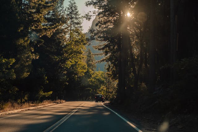 Viaje en auto entre Los Ángeles y San Francisco por rutas escénicas Auto circulando por ruta entre bosques en California durante viaje por carretera