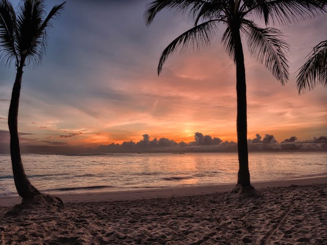 Playa de Punta Cana al atardecer con palmeras y mar tranquilo, destino ideal según la época del año.