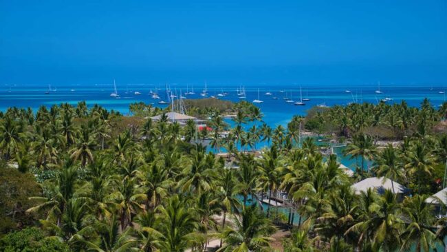 Vista tropical de Nueva Caledonia con palmeras, laguna azul y veleros en el Pac&iacute;fico Sur.