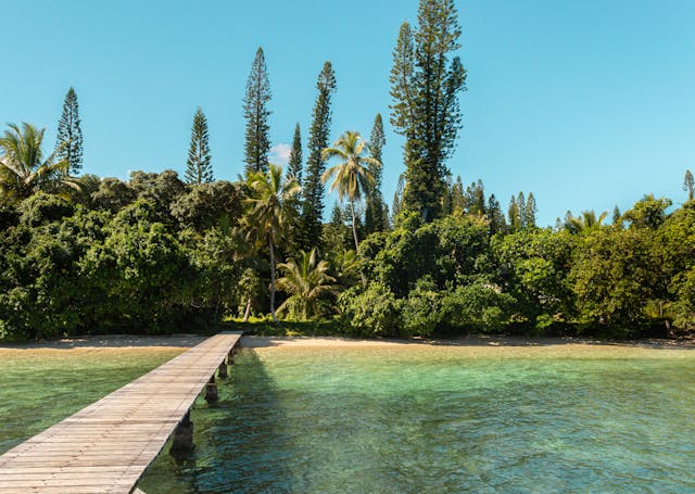 Muelle de madera sobre aguas transparentes rodeado de vegetación tropical en Nueva Caledonia.
