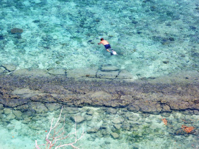 Persona haciendo snorkel en aguas cristalinas de Nueva Caledonia, destino famoso por su gran laguna y arrecifes.