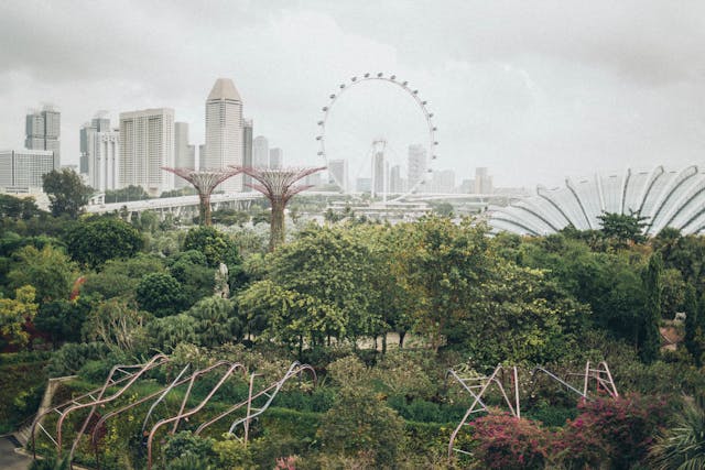 Gardens by the Bay en Singapur con los Supertrees y la noria Singapore Flyer al fondo
