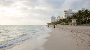 playa de miami con hoteles y palmeras al amanecer