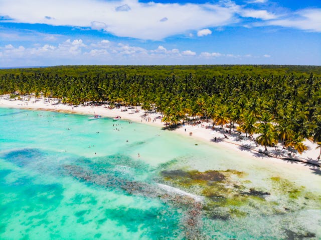 Vista aérea de playa en Punta Cana con agua cristalina, arena blanca y palmeras tropicales.