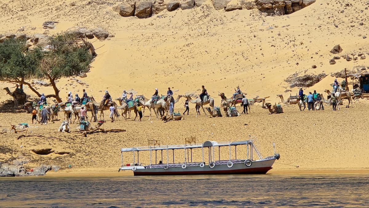 Excursión en el desierto de Egipto con caravana de camellos