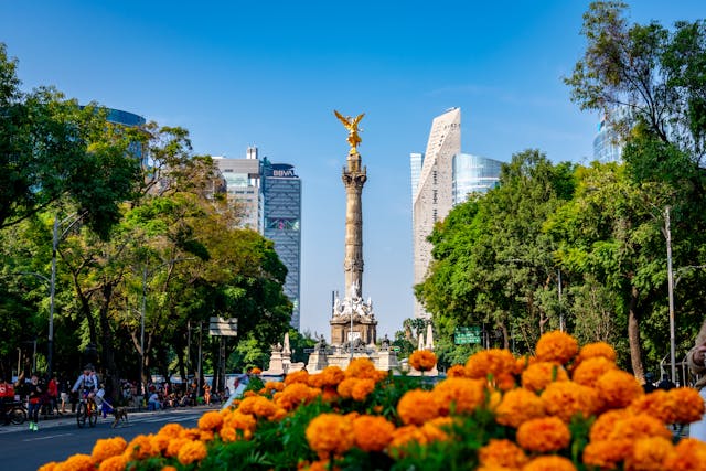 Paseo de la Reforma con el Ángel de la Independencia en Ciudad de México, una de las zonas que concentra vida urbana, cultura y movimiento turístico rumbo al Mundial 2026.