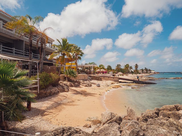 Costa de Aruba con playa, palmeras y casas frente al mar Caribe.