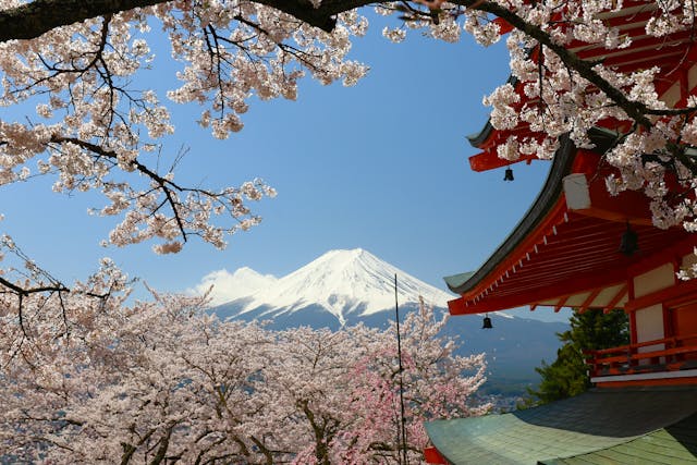 Monte Fuji visto entre cerezos en flor y arquitectura tradicional japonesa, una imagen representativa para planificar un viaje a Japón.