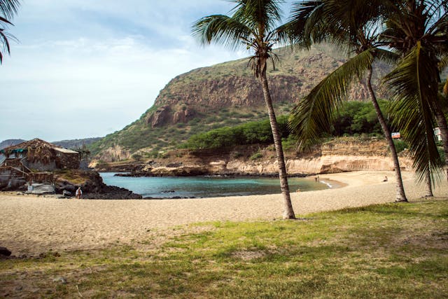 Playa de Cabo Verde con palmeras, montañas y aguas tranquilas, paisaje típico de sus islas en el océano Atlántico.