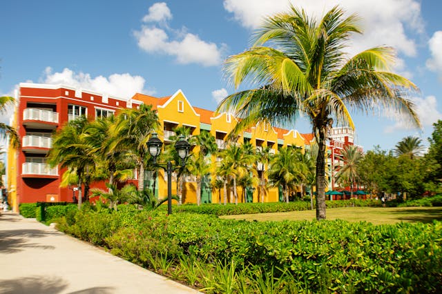 Edificios coloridos y palmeras en Curazao, isla del Caribe que pertenece a Países Bajos
