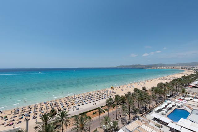 Playa de Ibiza con aguas turquesas, arena clara y palmeras, una imagen que ayuda a ubicar la isla como destino del Mediterráneo dentro de las Islas Baleares.