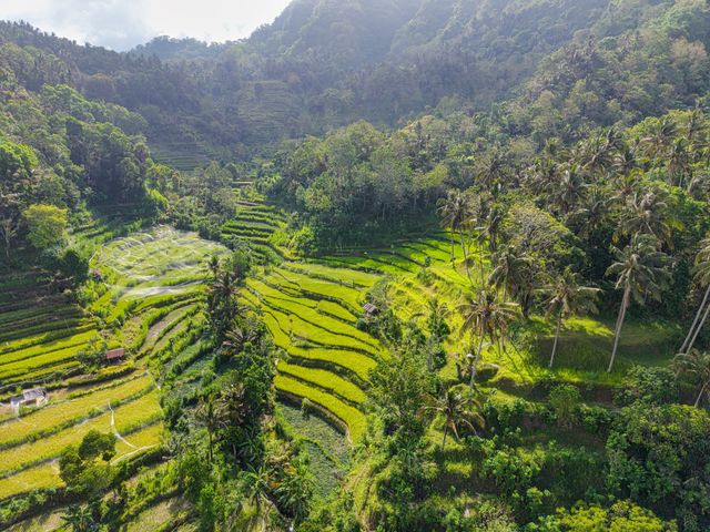 Bali, una de las islas más lindas del mundo Paisaje de Bali con terrazas de arroz y vegetación tropical, una de las islas más lindas del mundo.
