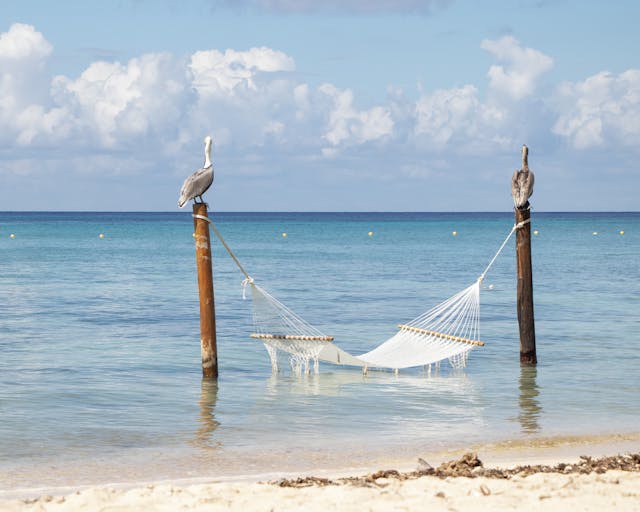 Hamaca sobre el mar en Cozumel, una de las islas más lindas del mundo para disfrutar el Caribe mexicano.
