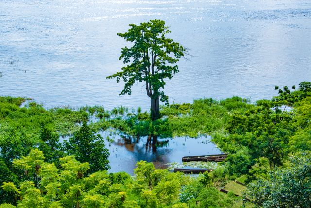 Río Congo y paisajes naturales de la RDC Paisaje natural de la República Democrática del Congo junto al río Congo, imagen relacionada con una guía sobre dónde queda el país.