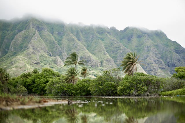 Paisaje tropical de Hawaii con montañas verdes, palmeras y vegetación junto al agua.