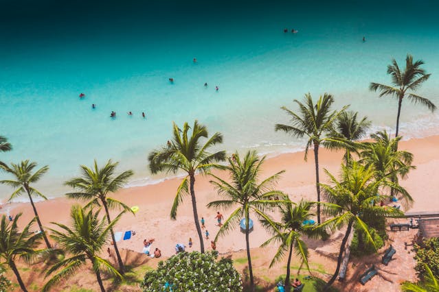 Vista aérea de una playa de Hawaii con palmeras, arena clara y aguas turquesas del océano Pacífico.