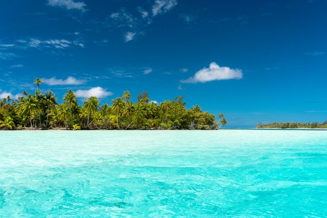 Isla tropical con palmeras, aguas turquesas y arena clara, un paisaje típico de las islas más lindas del mundo.
