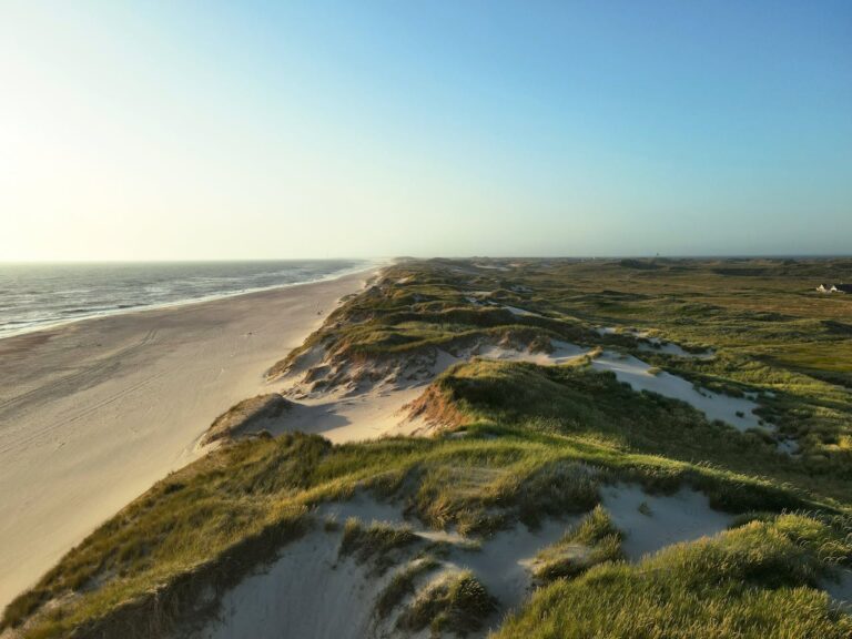 Playa extensa con dunas, vegetación y una larga franja de arena junto al mar, ideal para ilustrar grandes arenales de Europa.