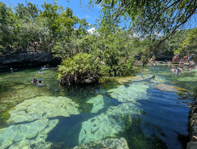 Cenote de aguas cristalinas cerca de Playa del Carmen, una excursión popular para quienes viajan a la Riviera Maya.