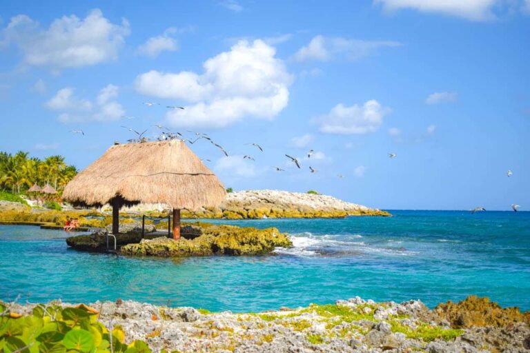 Costa de Playa del Carmen con mar turquesa, palapa frente al agua y paisaje del Caribe mexicano.