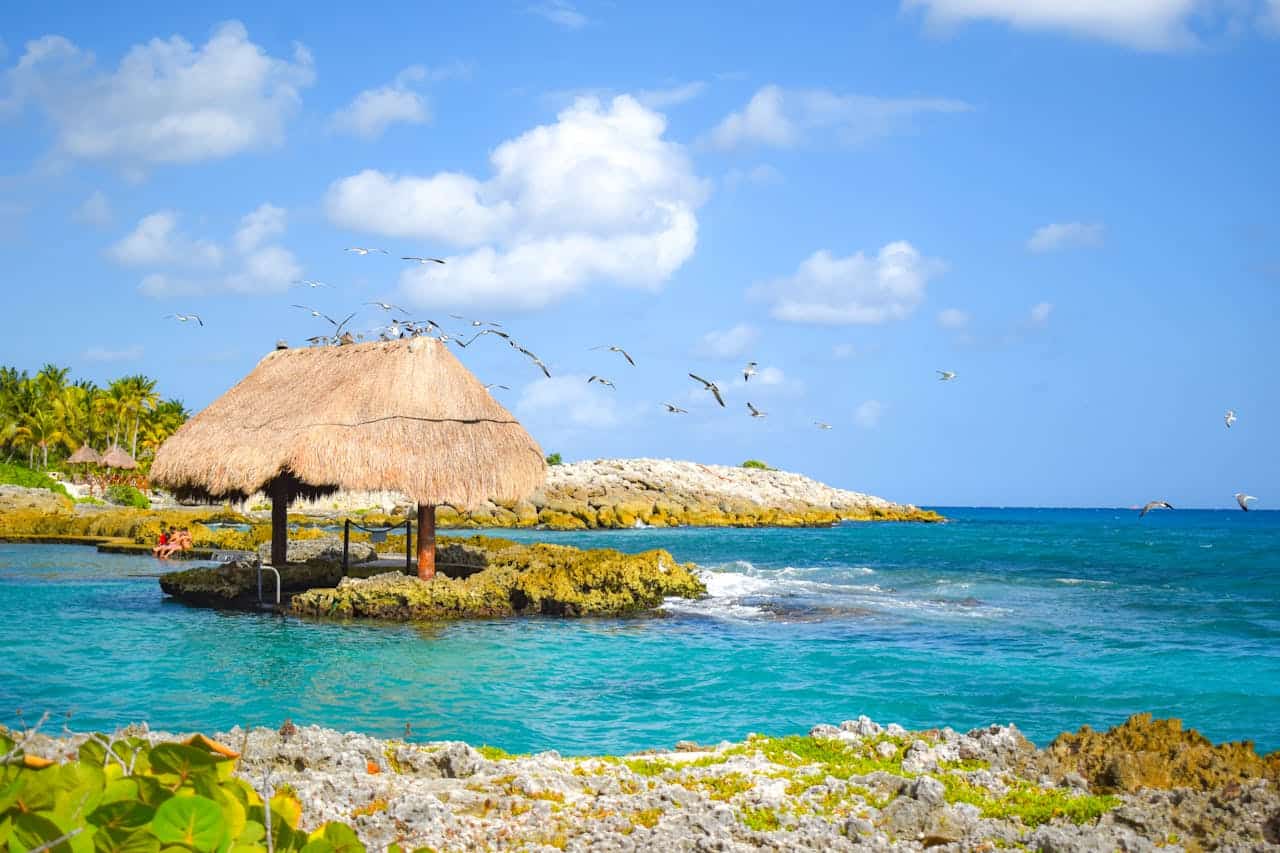 Costa de Playa del Carmen con mar turquesa, palapa frente al agua y paisaje del Caribe mexicano.