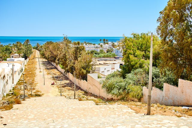 Paisaje costero de Túnez con casas blancas, vegetación y vista al mar Mediterráneo.