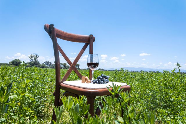 Copa de vino tinto con uvas en un viñedo, imagen relacionada con la gastronomía de Cuyo y las comidas típicas de Argentina por región.