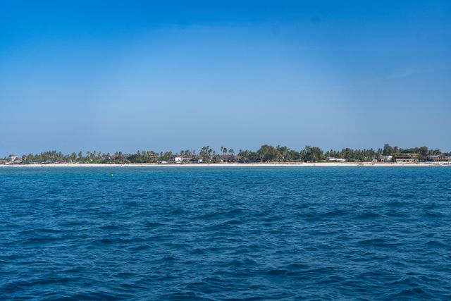 Costa de Zanzíbar vista desde el mar, con aguas azules del océano Índico, playa de arena clara y palmeras al fondo.