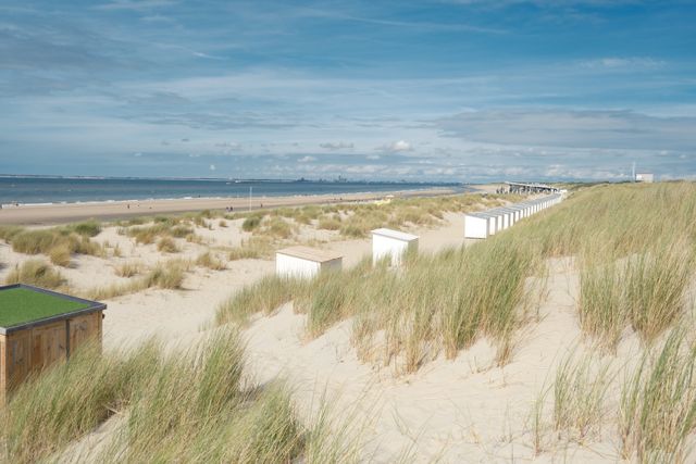 Playa de Zandvoort en Países Bajos, con dunas de arena y vista al mar del Norte, imagen relacionada con el pueblo donde se corre la Fórmula 1.