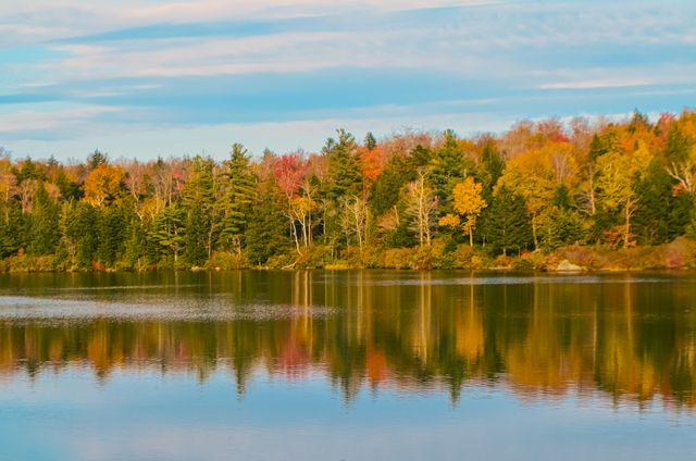 Lago rodeado de bosques de Nueva Inglaterra en otoño, con árboles amarillos, naranjas y verdes reflejados en el agua.