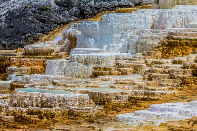 Terrazas minerales de Mammoth Hot Springs en Yellowstone, con formaciones blancas y doradas creadas por aguas termales.