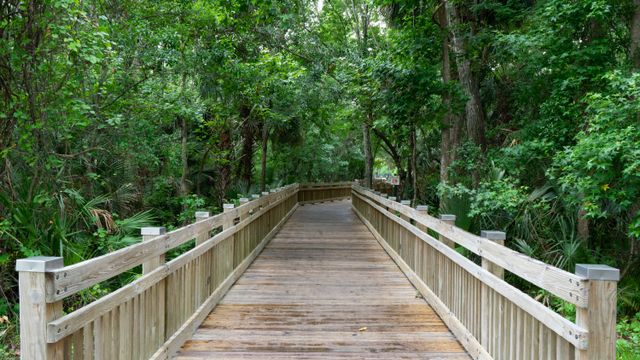 Sendero de madera en un parque natural de Orlando, imagen relacionada con planes gratis para hacer con niños sin ir a Disney.