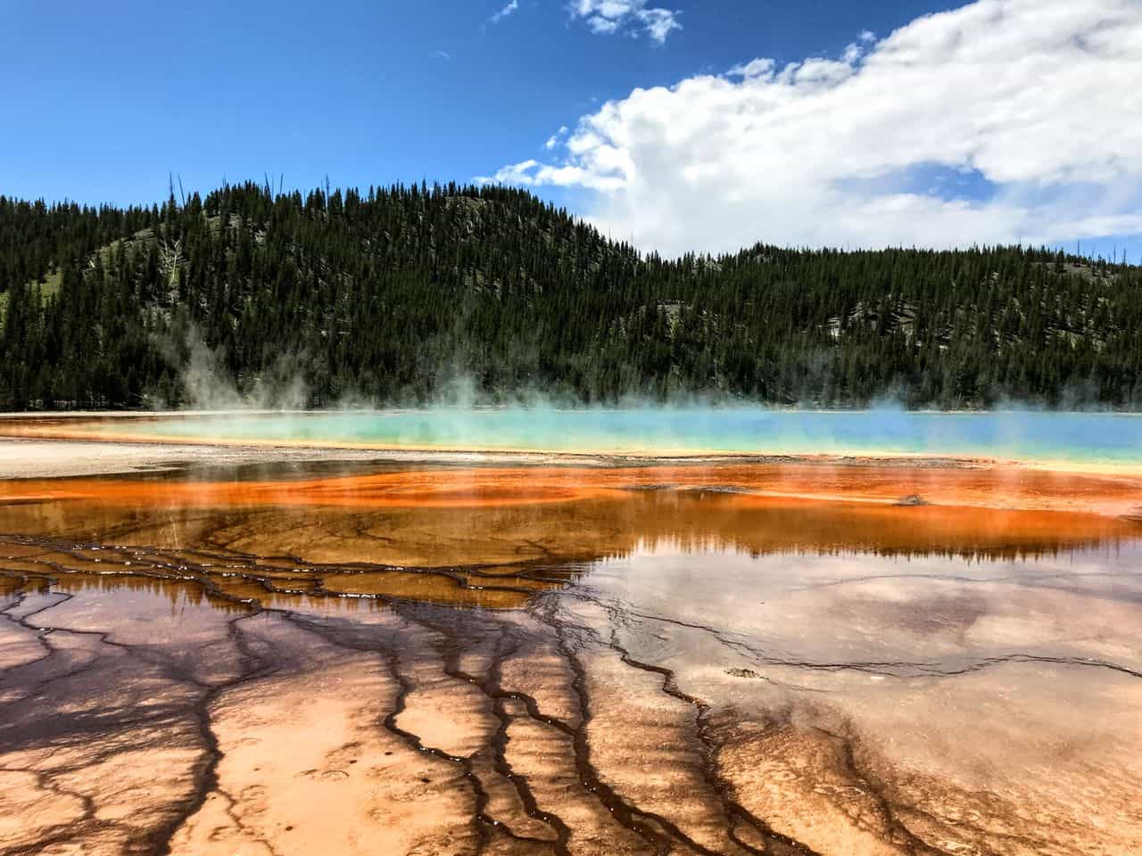 Piscina termal multicolor en Yellowstone con vapor, tonos turquesa y naranjas, bosque de pinos y cielo azul.
