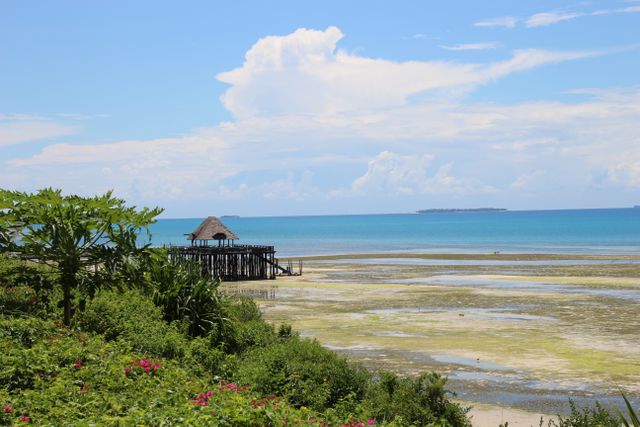 Playa de Zanzíbar con aguas turquesas del océano Índico, vegetación tropical y un muelle de madera frente al mar.