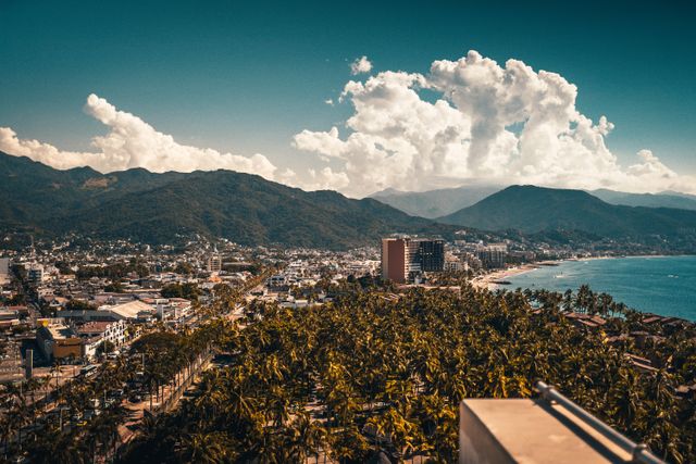 Vista panorámica de Puerto Vallarta con palmeras, hoteles, playa, mar y montañas de la Sierra Madre al fondo.