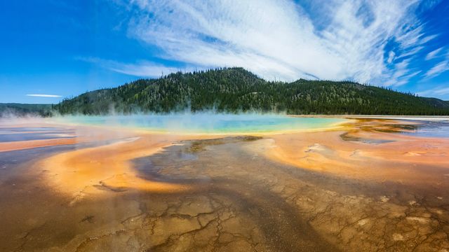 Piscina termal multicolor en Yellowstone con vapor, depósitos minerales, bosque y cielo azul.