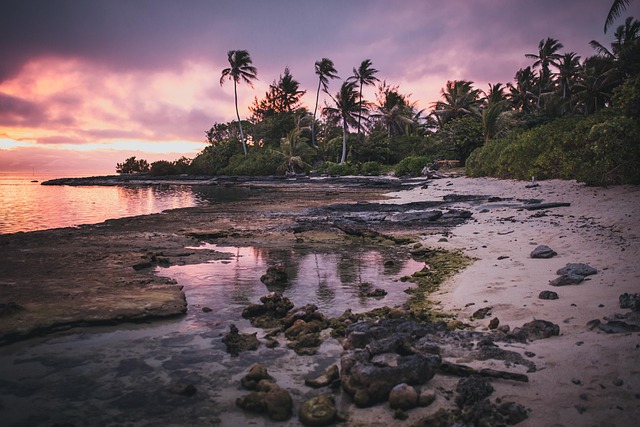 Atardecer en una playa tropical con palmeras y costa rocosa en la Polinesia Francesa