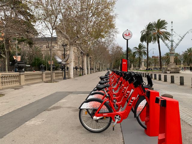 Bicing y movilidad en bicicleta por Barcelona Estación de Bicing con bicicletas públicas rojas en una avenida arbolada de Barcelona.